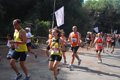 ostiaambiente_2545