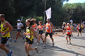ostiaambiente_2546