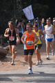 ostiaambiente_2557