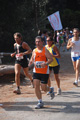 ostiaambiente_2558