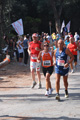 ostiaambiente_2592