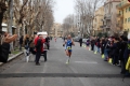 lidense_pino_146