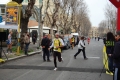 lidense_pino_161