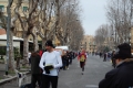 lidense_pino_217