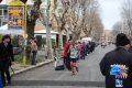 lidense_pino_224