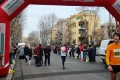 lidense_pino_231