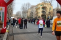 lidense_pino_233
