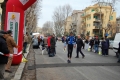 lidense_pino_234