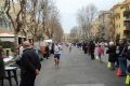 lidense_pino_272