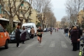 lidense_pino_279