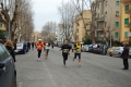 lidense_pino_289