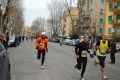 lidense_pino_290