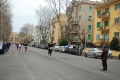 lidense_pino_291