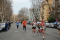 lidense_pino_296
