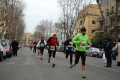 lidense_pino_389