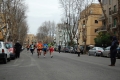 lidense_pino_401