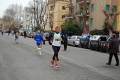 lidense_pino_439