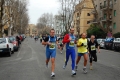lidense_pino_446