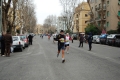 lidense_pino_457