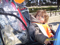 aism_ciani_0892