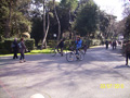 aism_ciani_0899