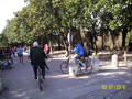 aism_ciani_0904