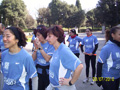 aism_ciani_0905