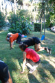 scuolorange_1228