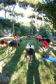 scuolorange_1233