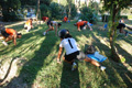 scuolorange_1236