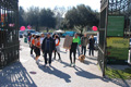 passeggiata_alessio_0022