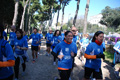 passeggiata_alessio_0227