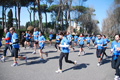 passeggiata_alessio_0461
