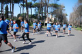 passeggiata_alessio_0466