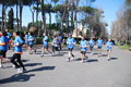 passeggiata_alessio_0467