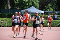 staffetta_7563