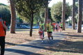 bikila_3361