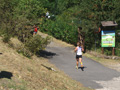 dipietrantonio_224