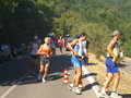 dipietrantonio_262