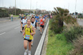 pino_ro__0192