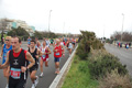 pino_ro__0215