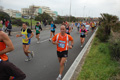 pino_ro__0220