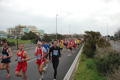 pino_ro__0225