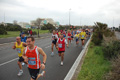 pino_ro__0229