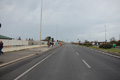 pino_ro__0245