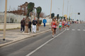 pino_ro__0248