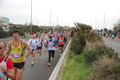 pino_ro__0259