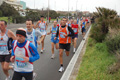 pino_ro__0262