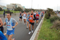 pino_ro__0263