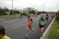 pino_ro__0271